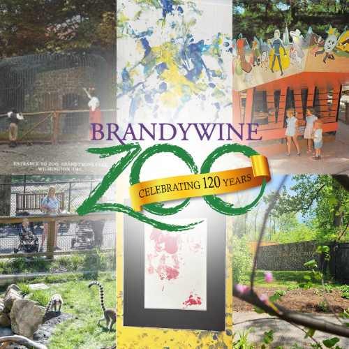 120 Anniversary Exhibit