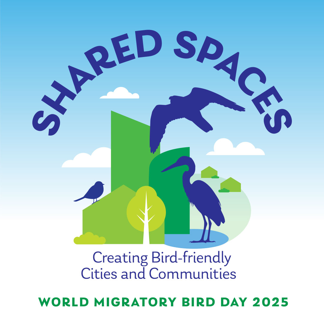 Migratory Bird Day