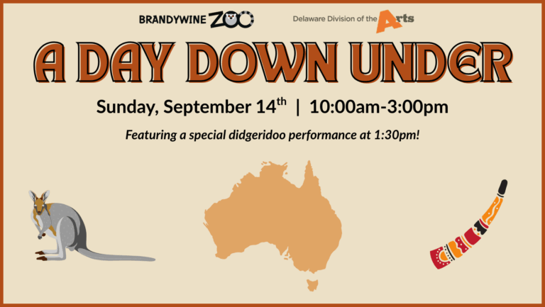 A Day Down Under