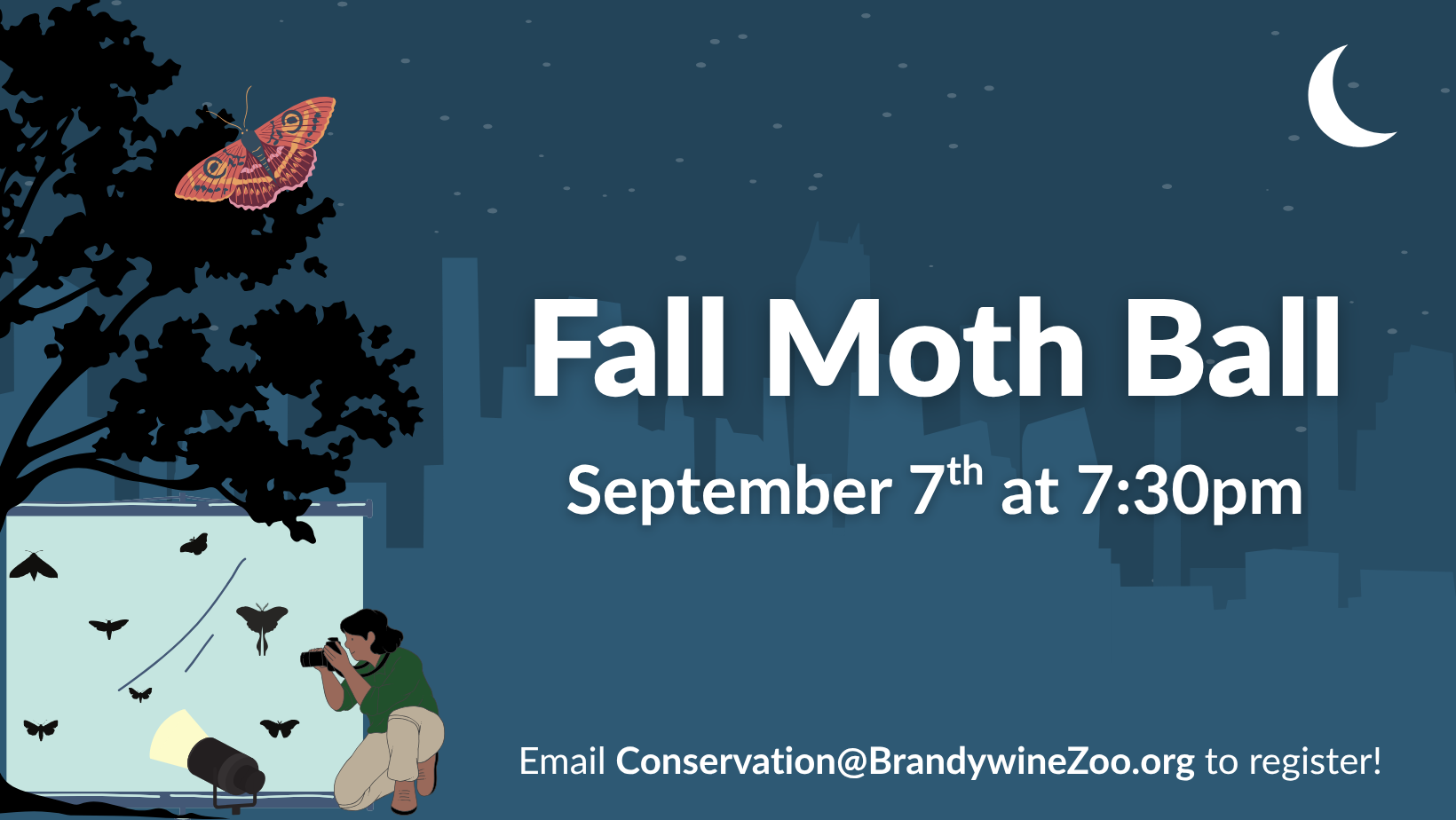 Fall Moth Ball