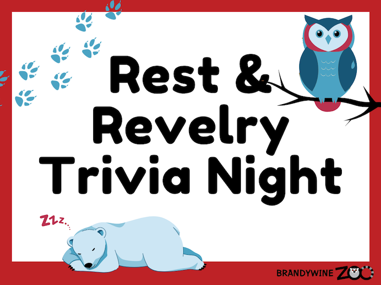 Rest & Revelry Trivia Night
