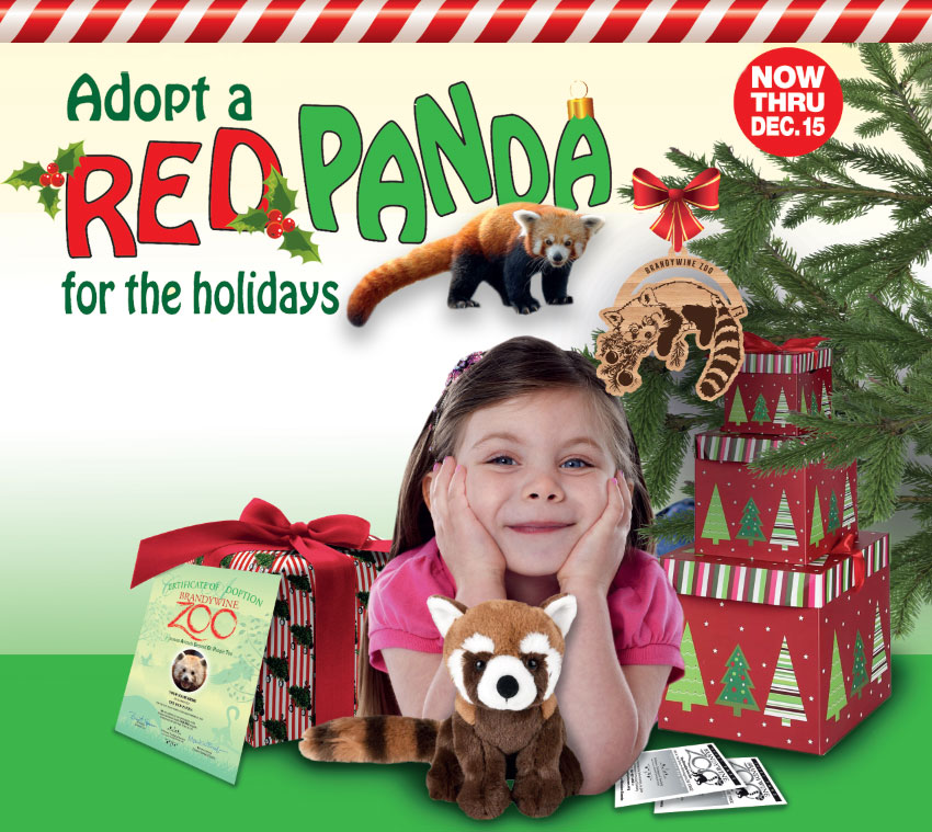ADOPT a Red Panda for the Holidays