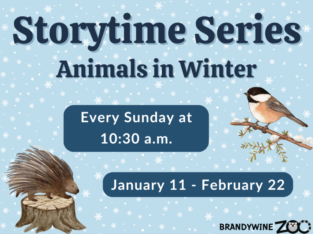 Storytime Series: Animals in Winter