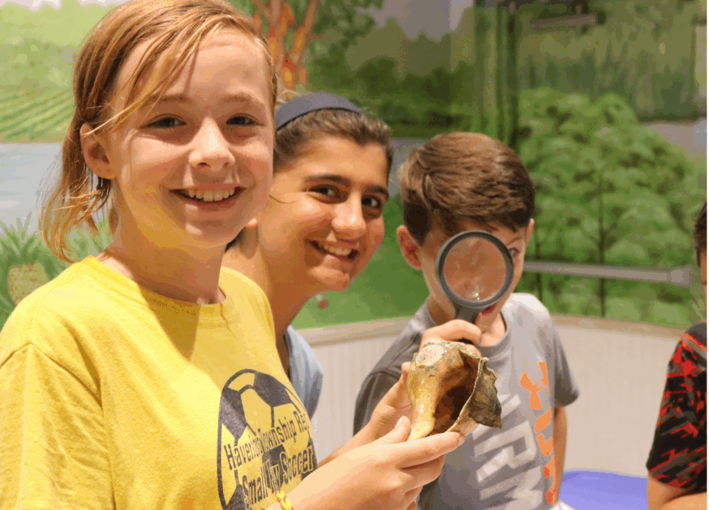 Saturday Discoveries