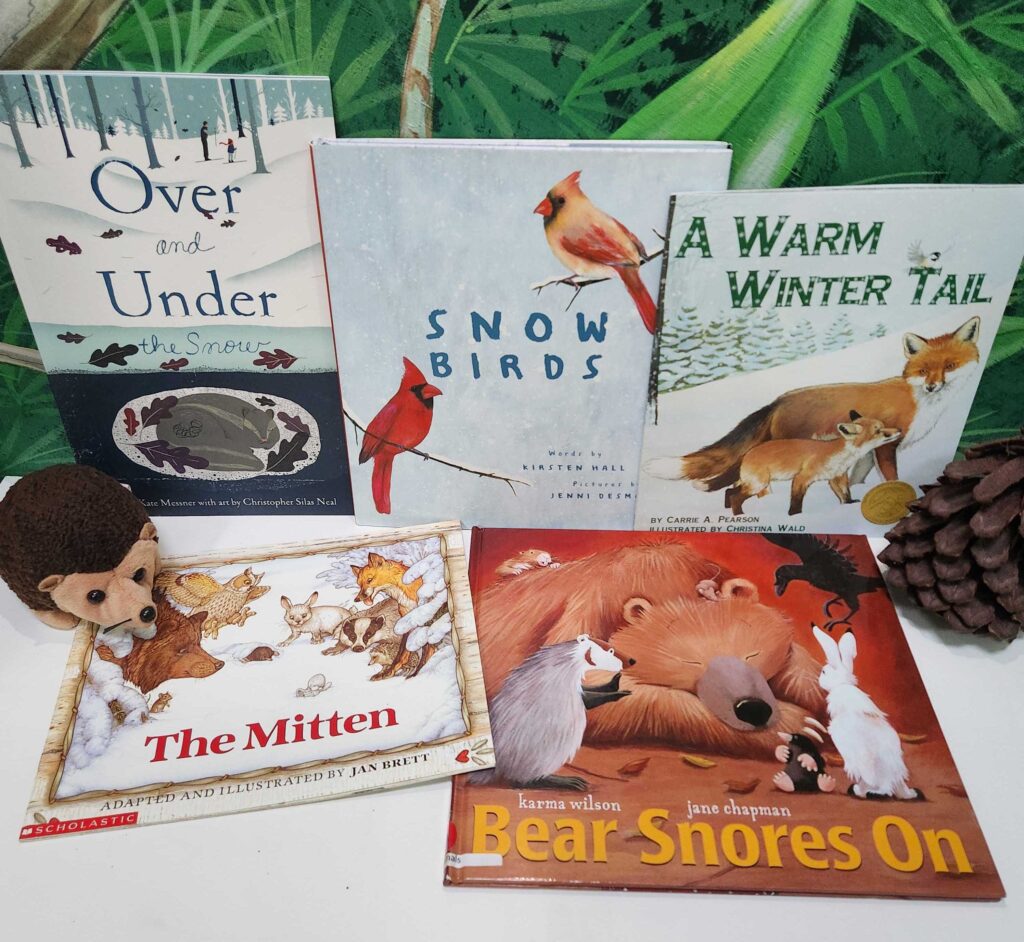 Storytime Series: Animals in Winter