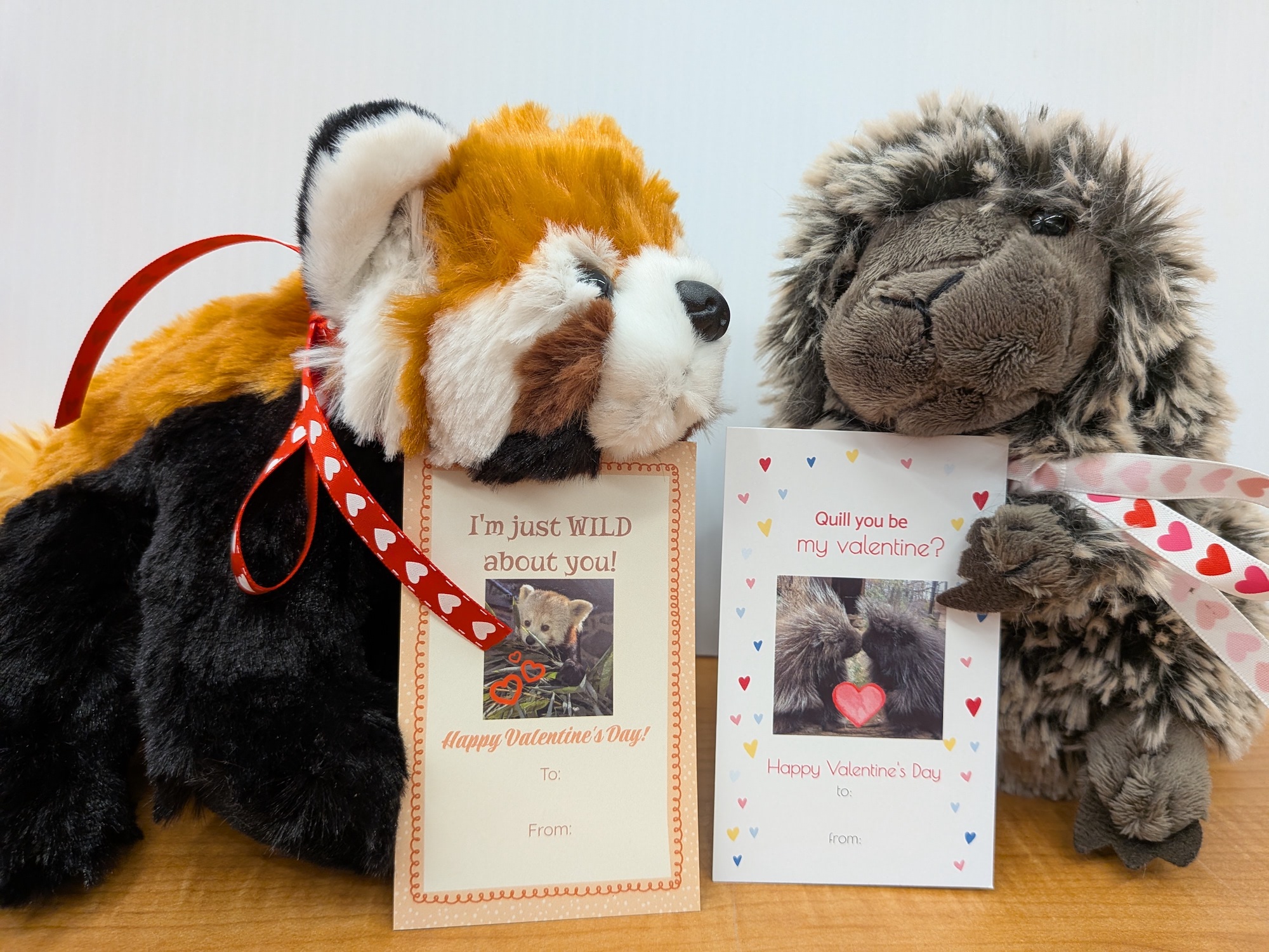 Valentine’s Day Gift Package