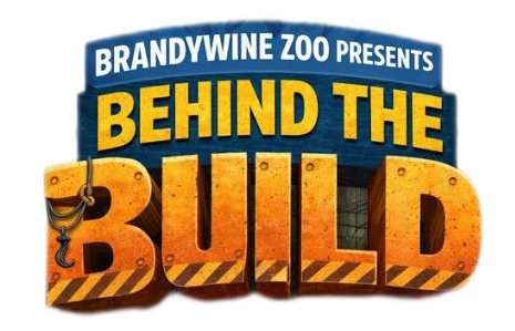 Behind the Build logo