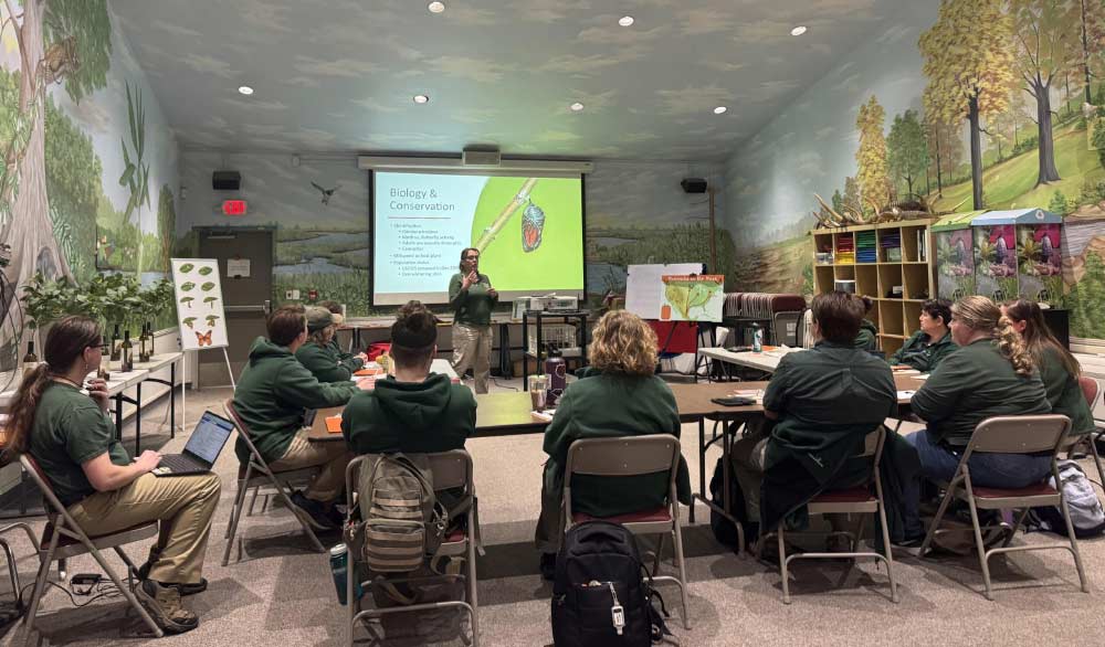 Monarch Larva Monitoring Project Workshop