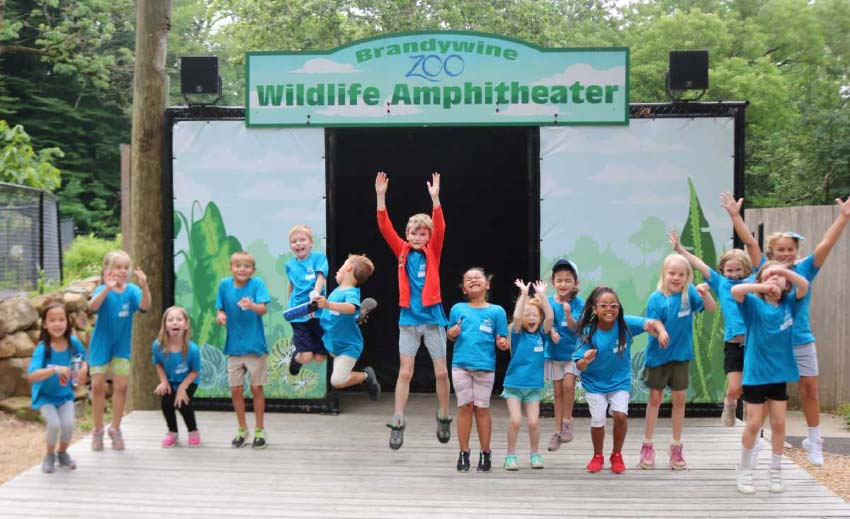 Brandywine Zoo Summer Camp
