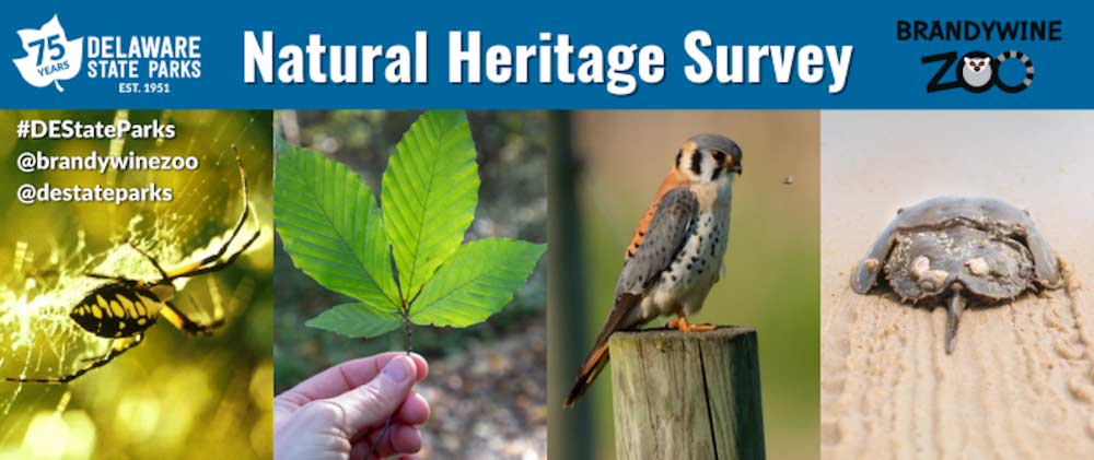 iNaturalist National Heritage Survey