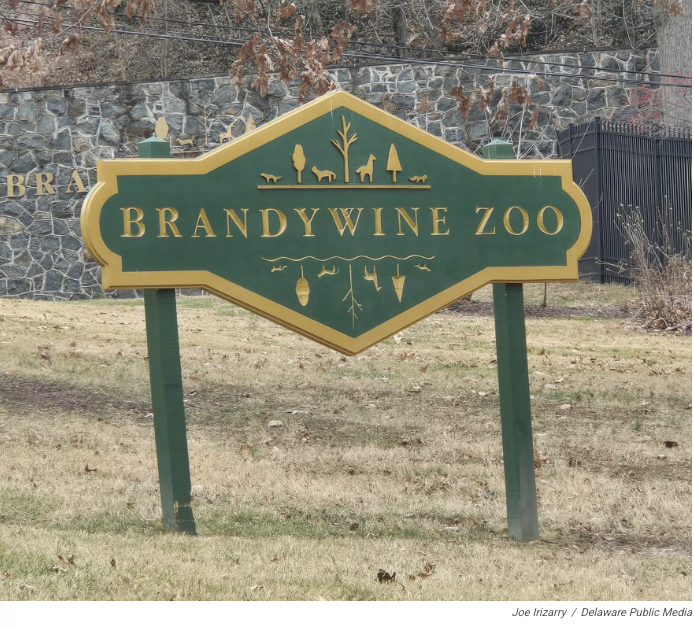 Photo courtesy of Joe Irizarry Delaware Public Media