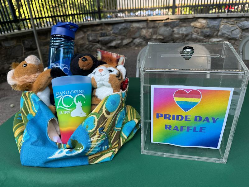Pride Day at the Brandywine Zoo