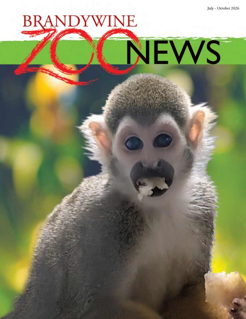 Zoo News July-Oct 2026