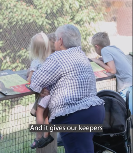 Meet the new residents of Brandywine Zoo