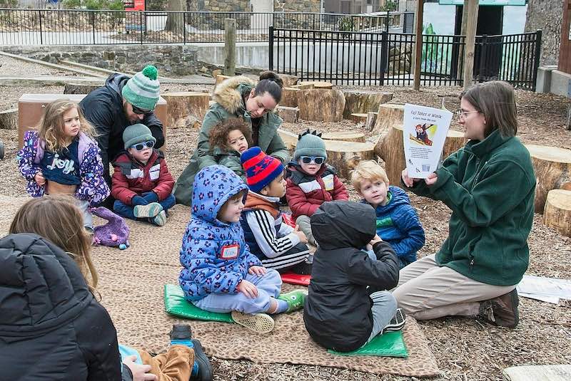 little nature explorers reading a book
