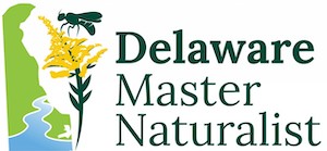 Delaware Master Naturalist at Mighty Monarch Day