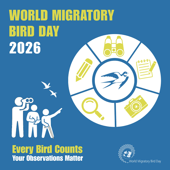 World Migratory Bird Day
