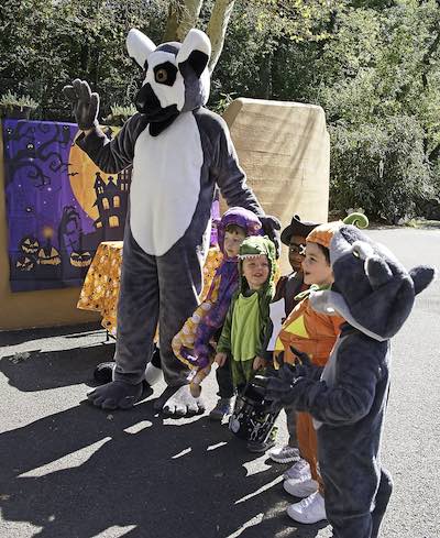 Boo at the Zoo costume parade at the Brandywine Zoo