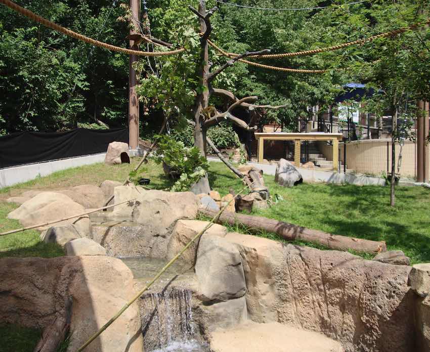 Hidden Falls a multi-species exhbit at the Brandywine Zoo. Photo by Doug Weiher
