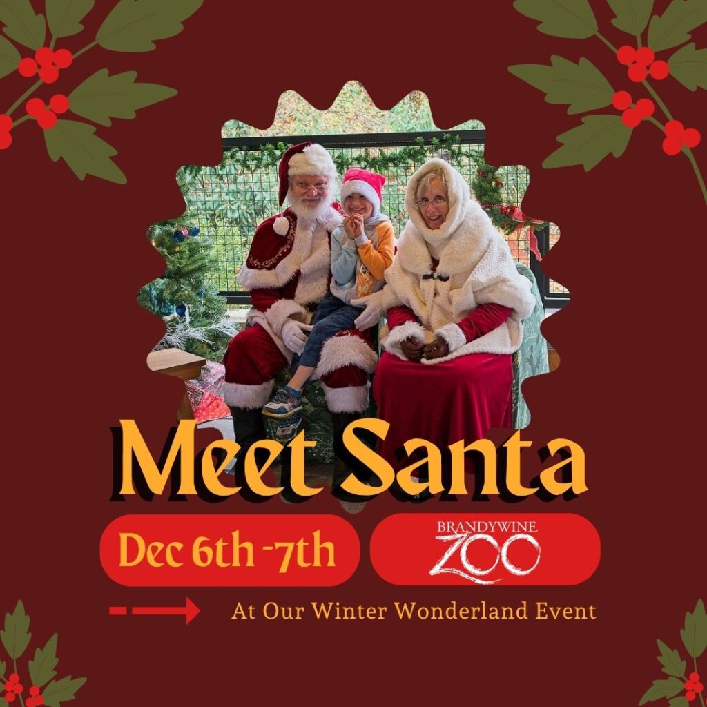 Instagram post from brandywinezoo. This post is in position 1.