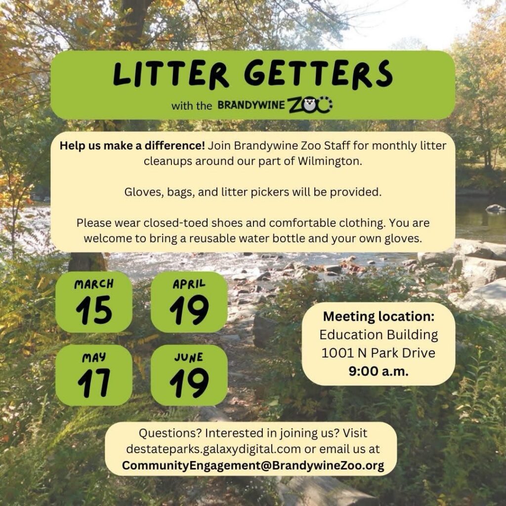 Instagram post from brandywinezoo. This post is in position 4.