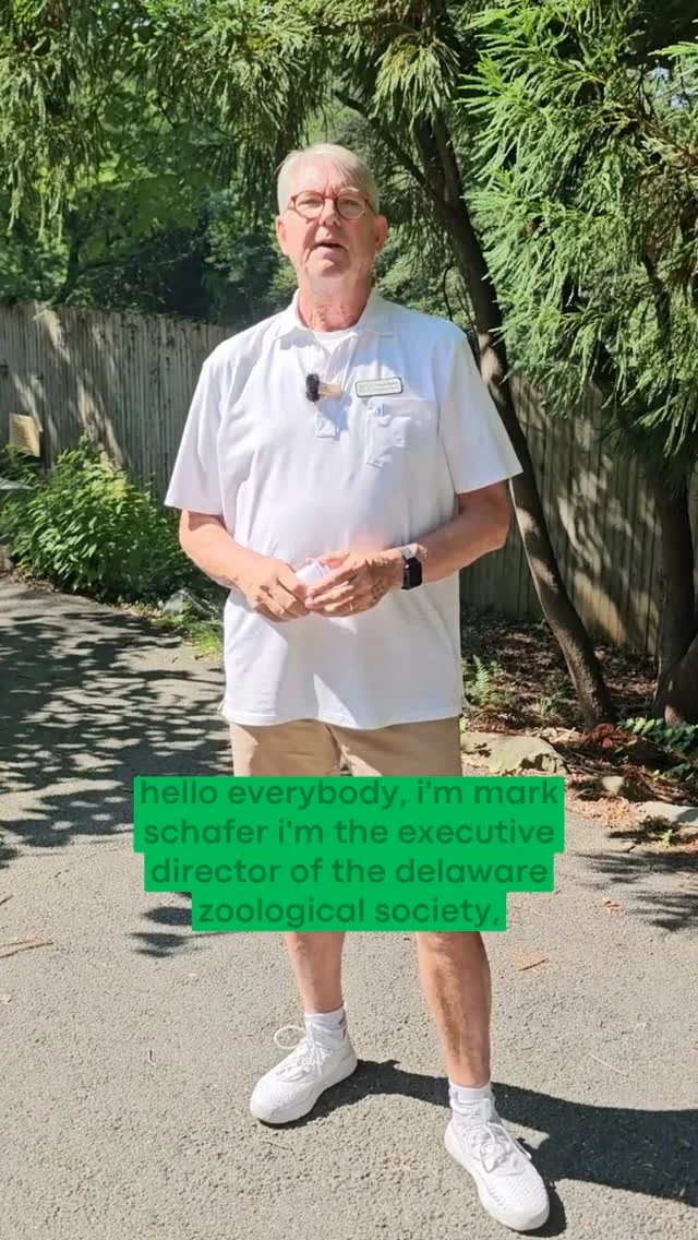 Instagram post from brandywinezoo. This post is in position 1.