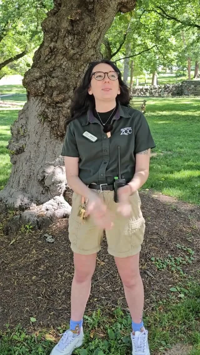 Instagram post from brandywinezoo. This post is in position 1.