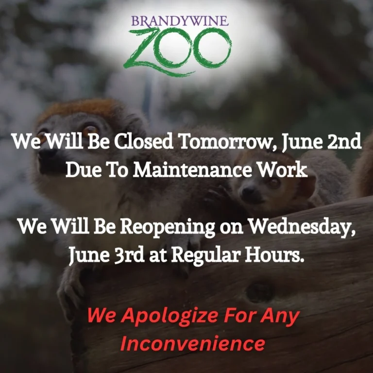 Instagram post from brandywinezoo. This post is in position 2.