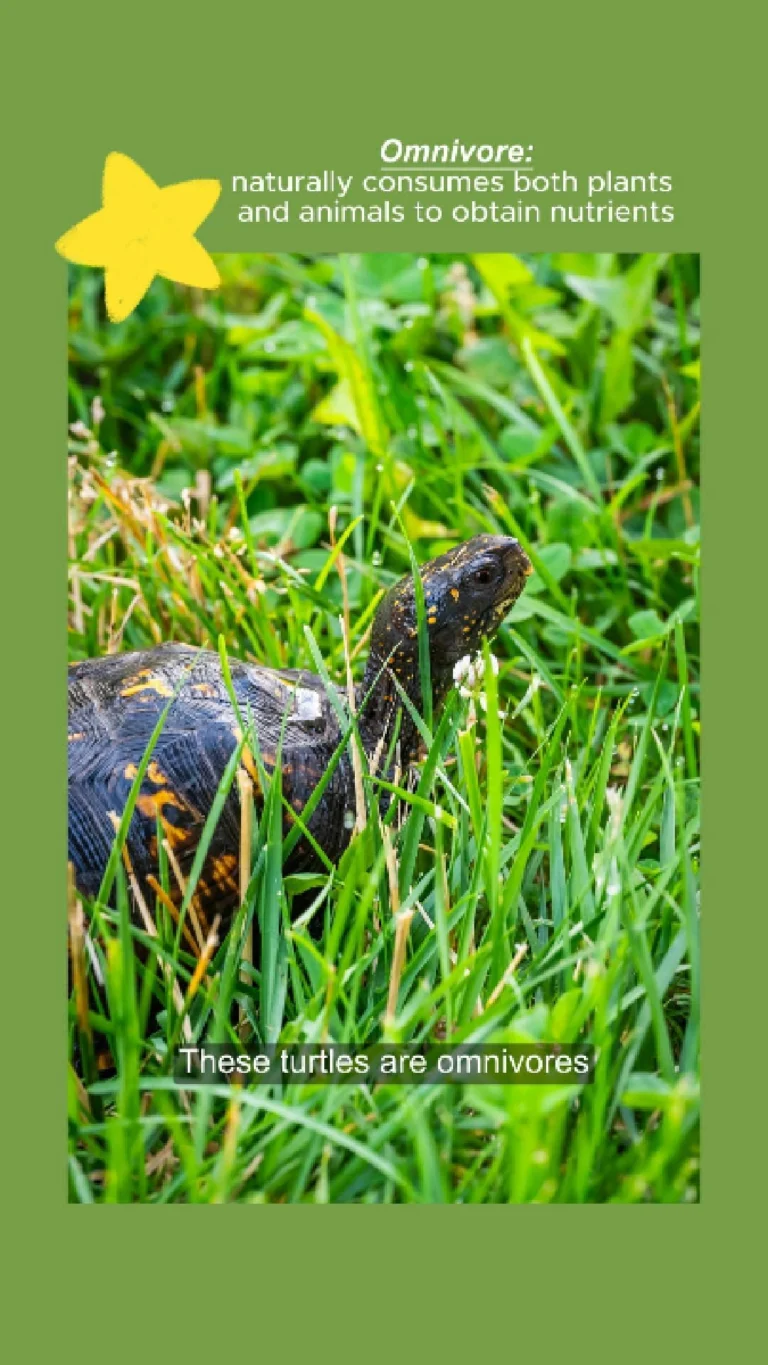 Instagram post from brandywinezoo. This post is in position 1.