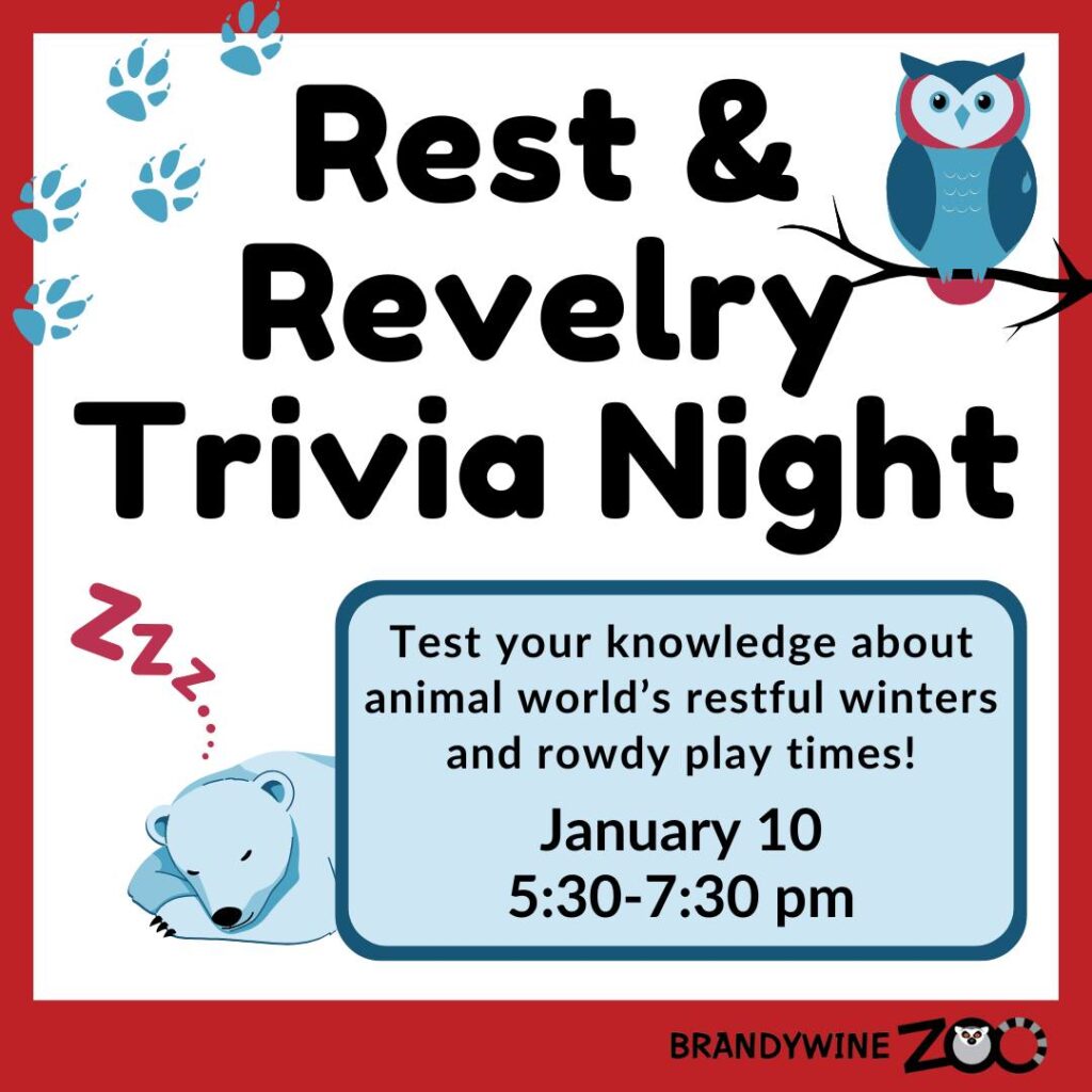 Instagram post from brandywinezoo. This post is in position 2.