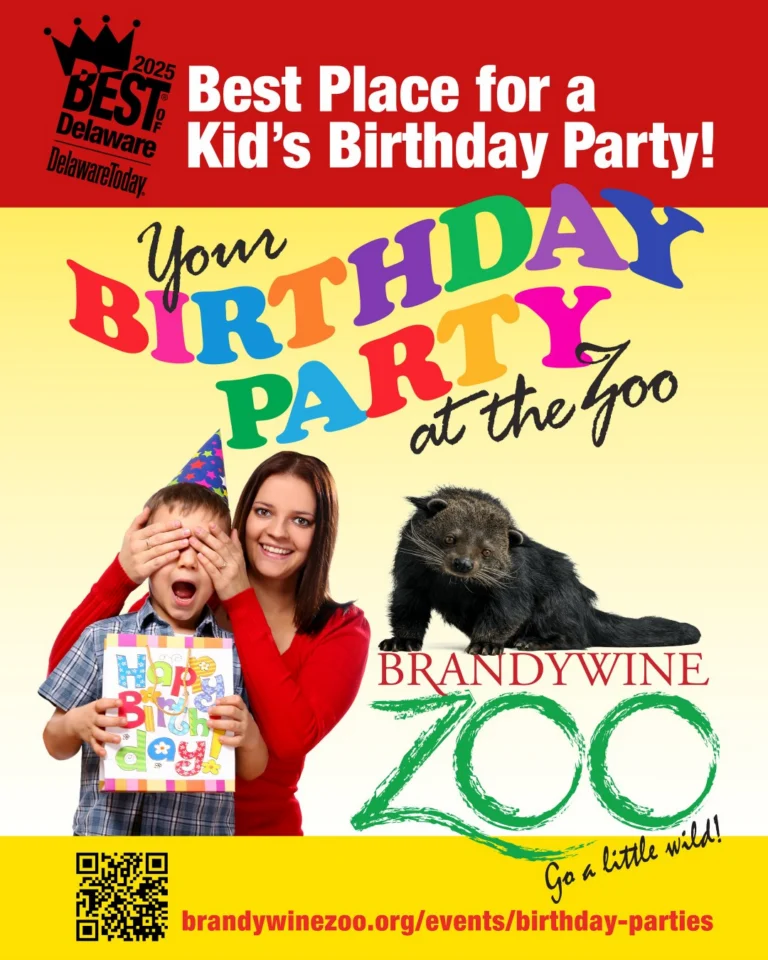 Instagram post from brandywinezoo. This post is in position 1.
