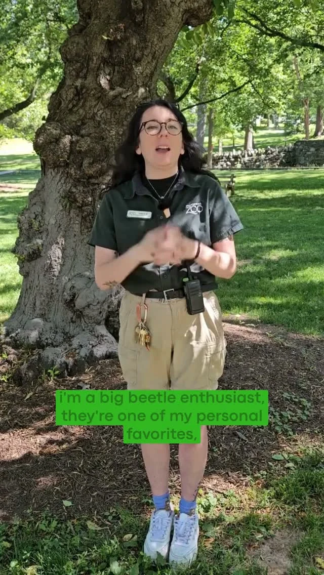 Instagram post from brandywinezoo. This post is in position 1.