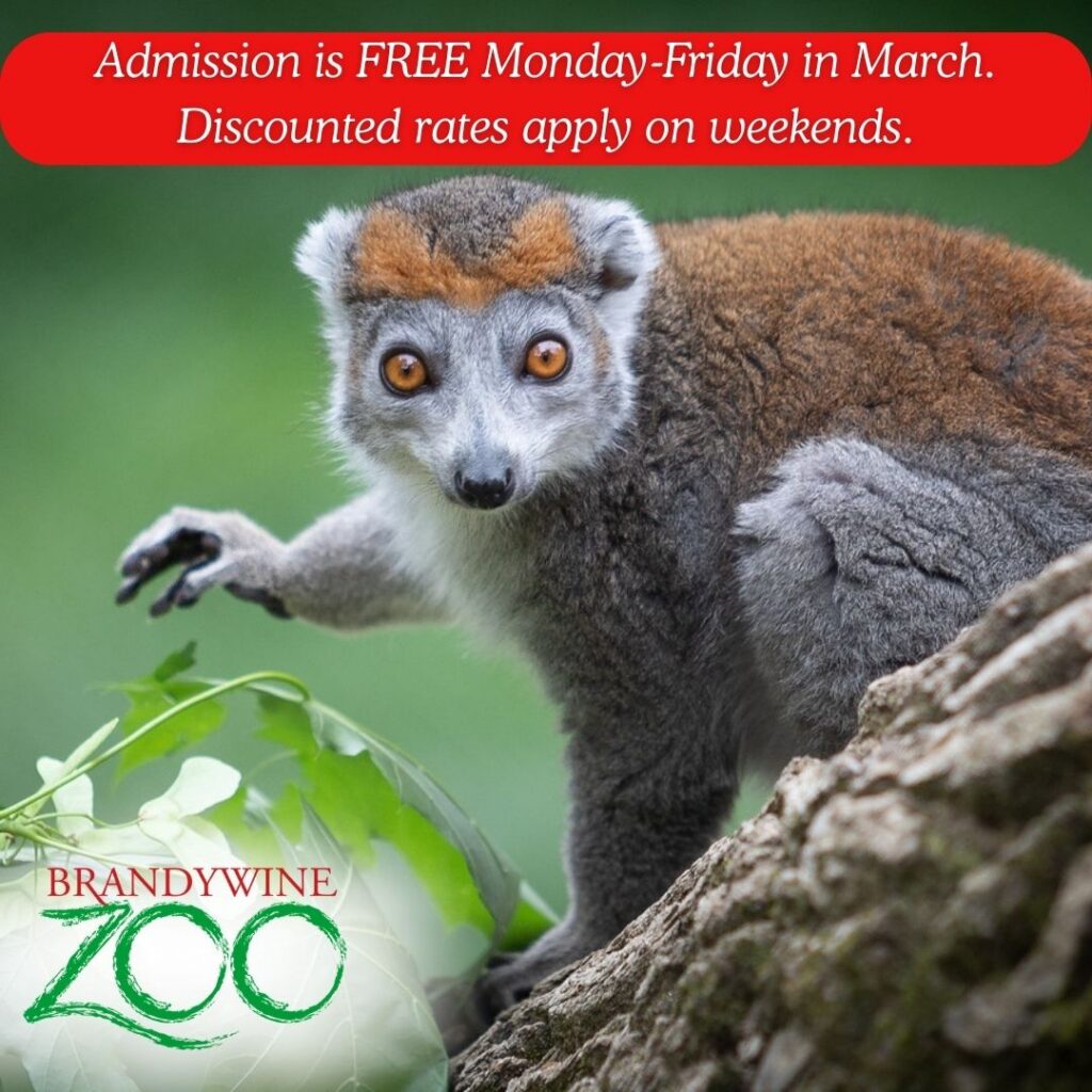 Instagram post from brandywinezoo. This post is in position 1.