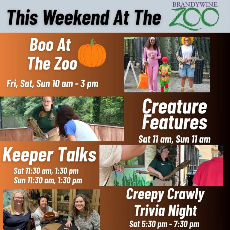 Instagram post from brandywinezoo. This post is in position 1.