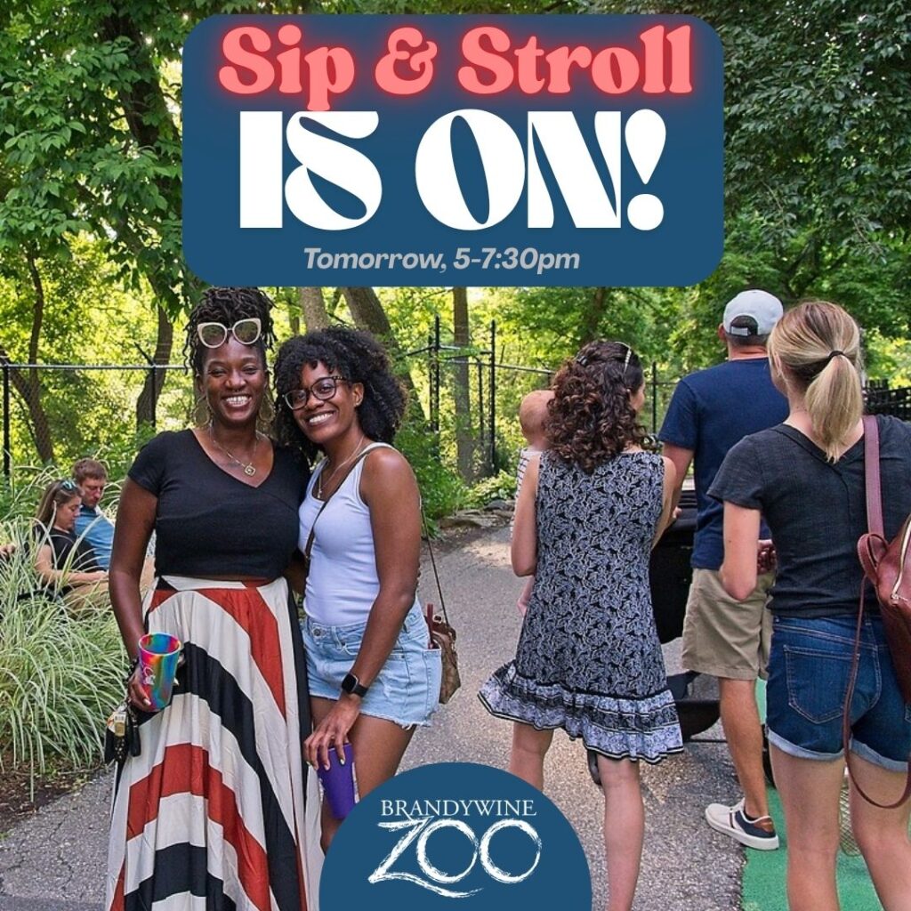 Instagram post from brandywinezoo. This post is in position 4.