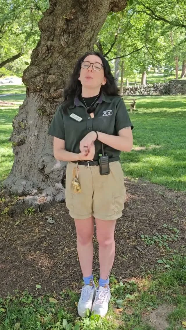 Instagram post from brandywinezoo. This post is in position 2.