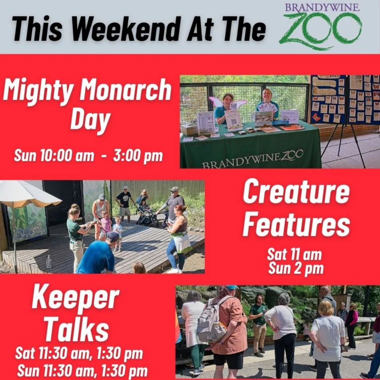 Instagram post from brandywinezoo. This post is in position 3.