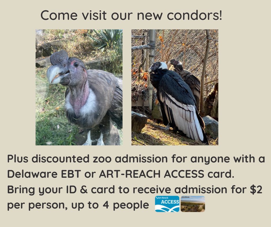 Instagram post from brandywinezoo. This post is in position 1.