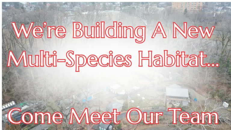 Instagram post from brandywinezoo. This post is in position 2.