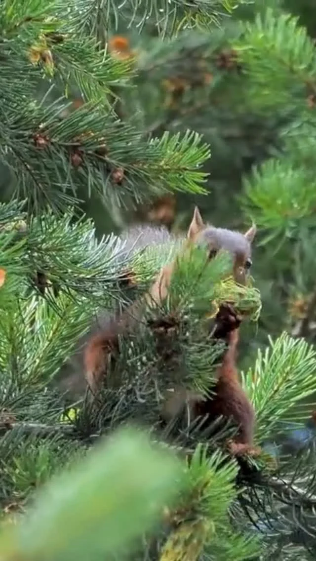 Instagram post from brandywinezoo. This post is in position 1.