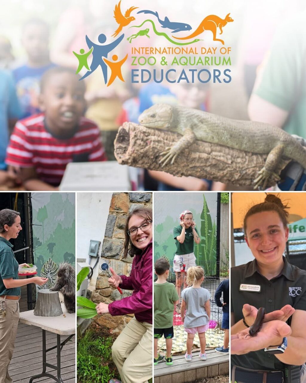 Instagram post from brandywinezoo. This post is in position 4.