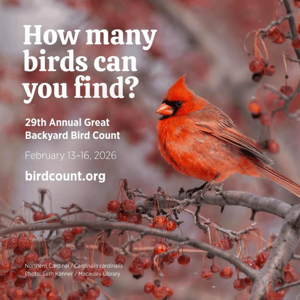 Instagram post from brandywinezoo. This post is in position 1.