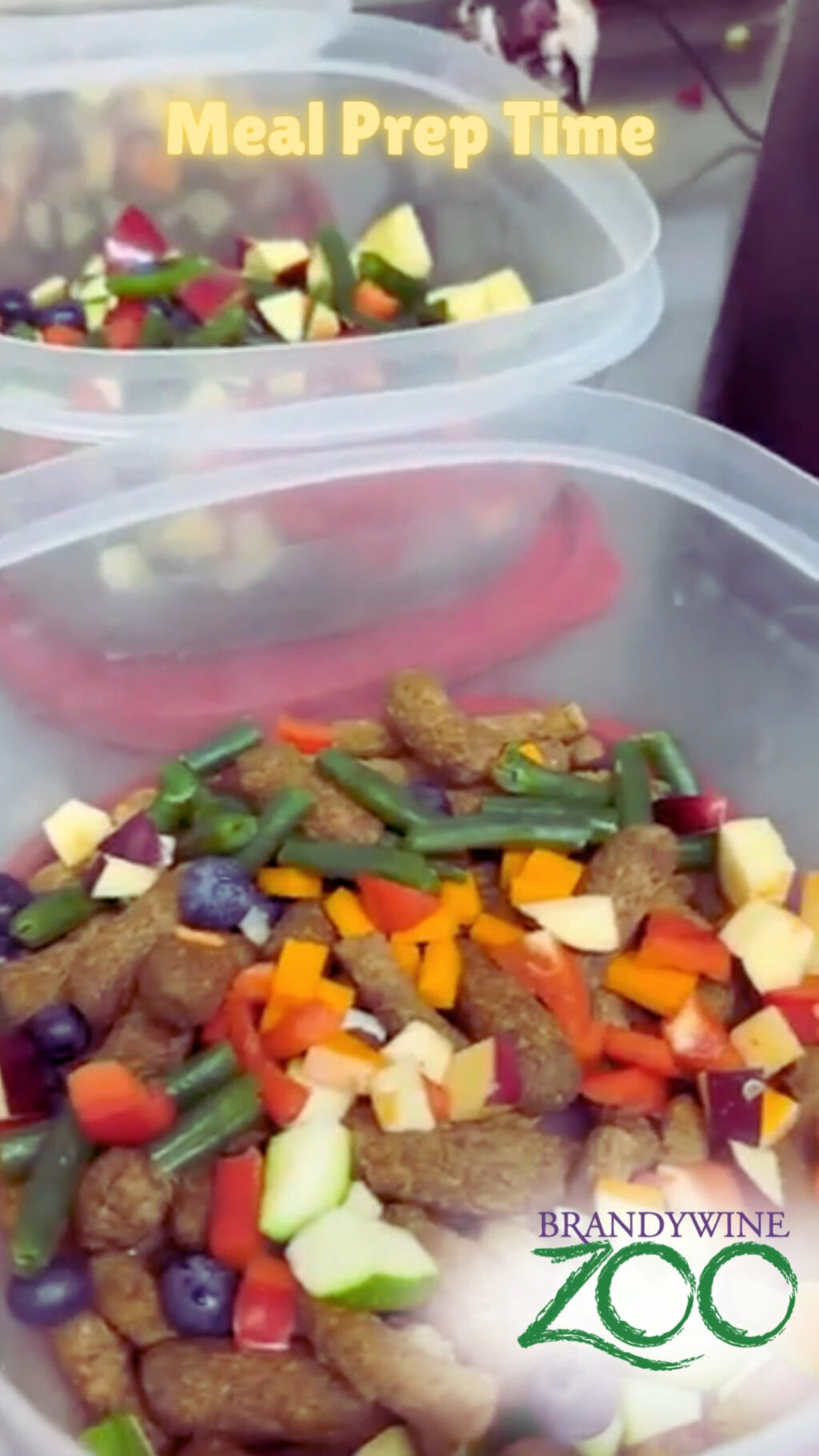 Instagram post from brandywinezoo. This post is in position 1.