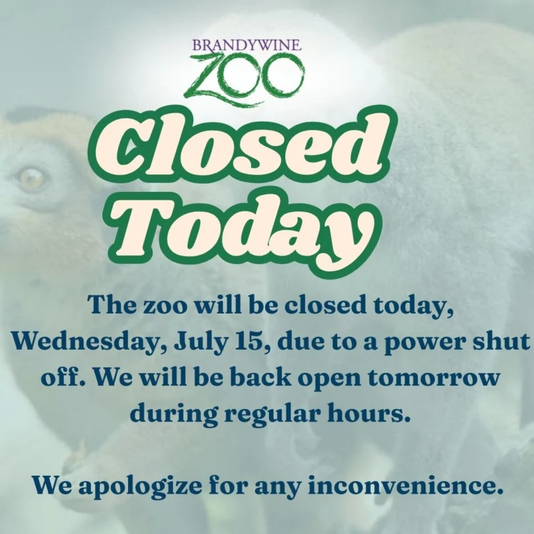 Instagram post from brandywinezoo. This post is in position 3.