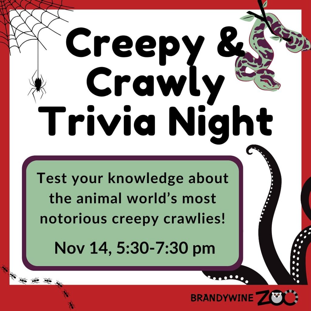 Instagram post from brandywinezoo. This post is in position 1.