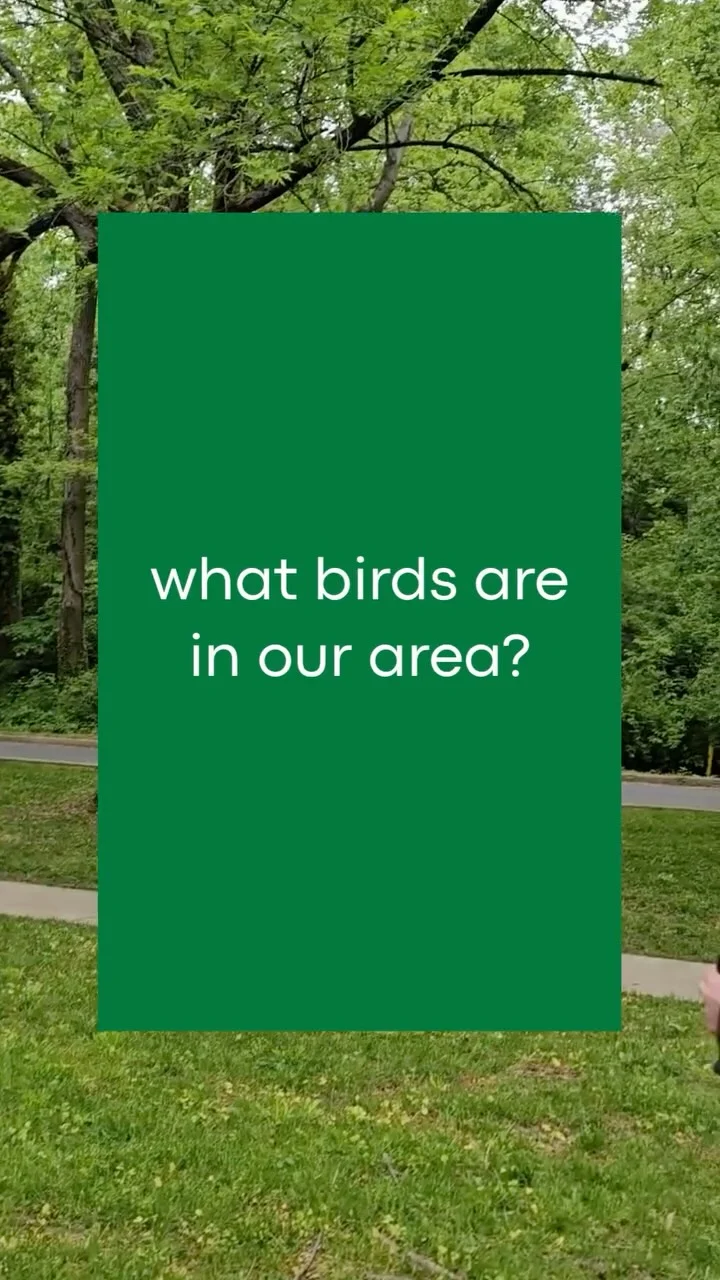 Instagram post from brandywinezoo. This post is in position 2.