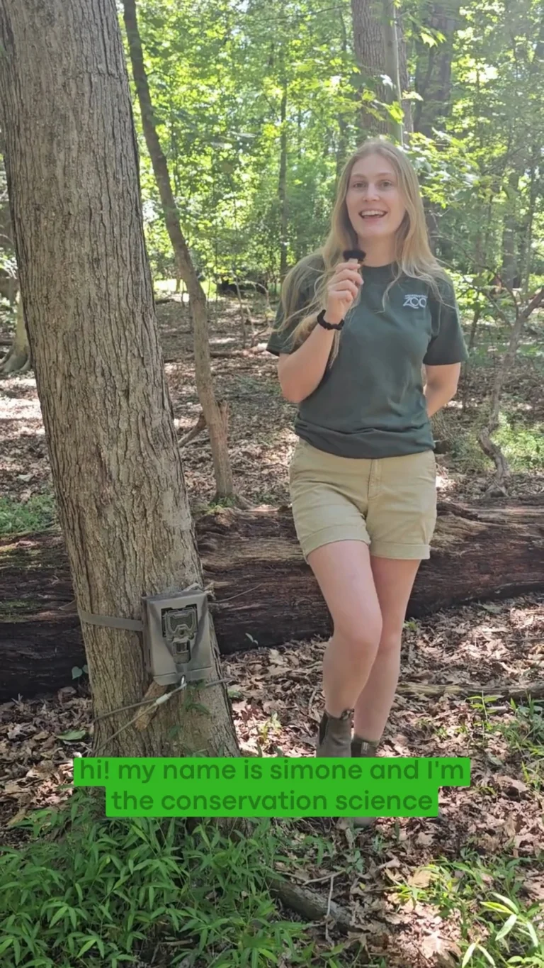 Instagram post from brandywinezoo. This post is in position 1.
