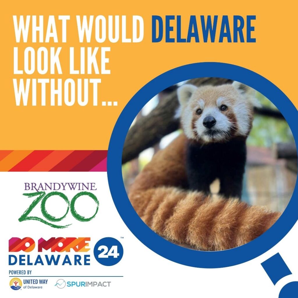 Instagram post from brandywinezoo. This post is in position 2.