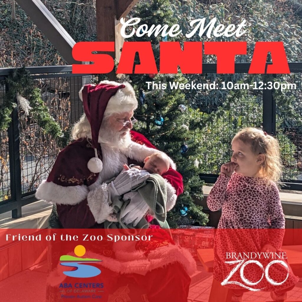 Instagram post from brandywinezoo. This post is in position 4.