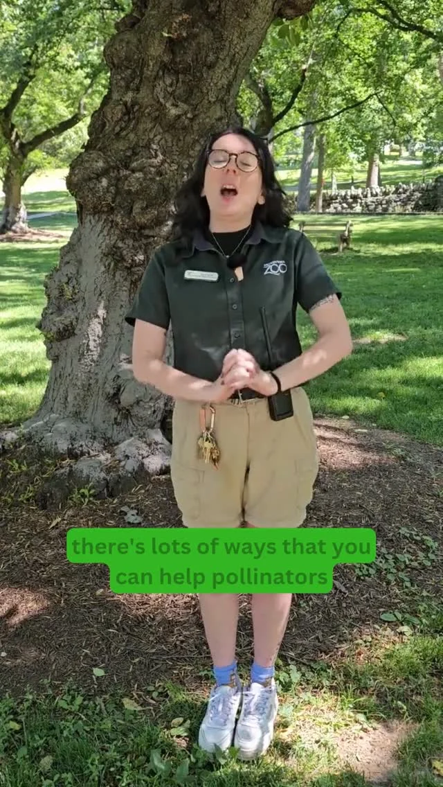 Instagram post from brandywinezoo. This post is in position 1.